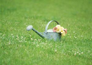 「東京での翡翠買取を成功させるための完全ガイド：高額査定の秘訣と信頼できる店舗情報」