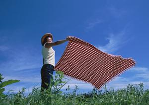 陸送代行を検討している方、必見です